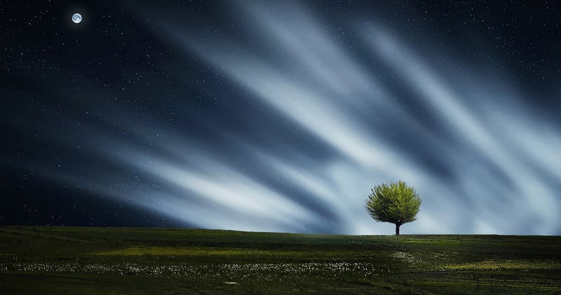 Dormir dans les arbres : l’hébergement unique qui réveille l’aventurier