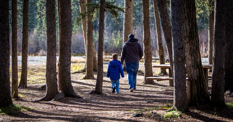 Randonnée en famille dans les volcans d'Auvergne : le guide facile
