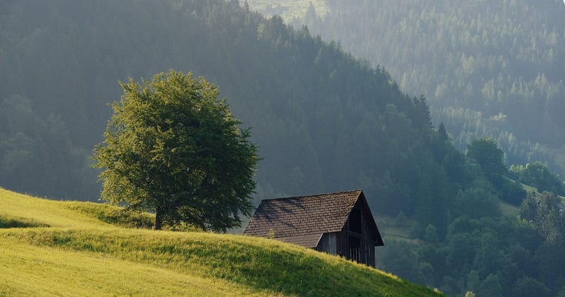 Séjour insolite dans une maison dans les arbres : la nuit la plus magique