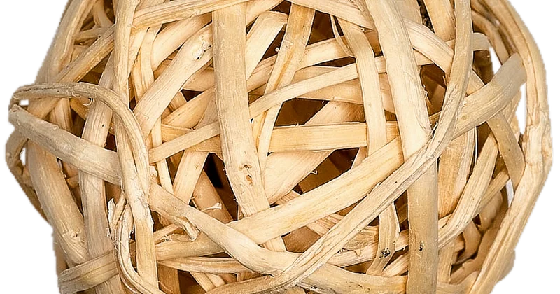 Acheter direct : le seul levier qui compte vraiment